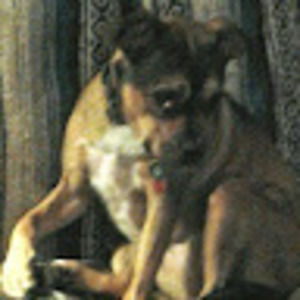 Meet your Posher, Gwen